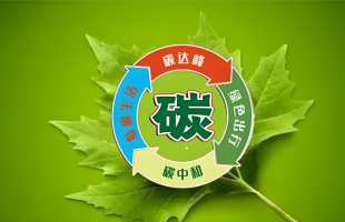 确保碳达峰目标如期实现要建好“一个机制”抓好“三项任务”  