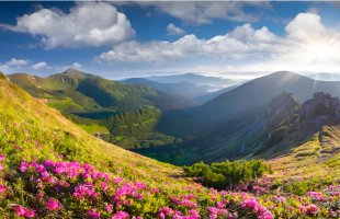 云南永德雪山与花海邂逅 每一帧都好治愈  