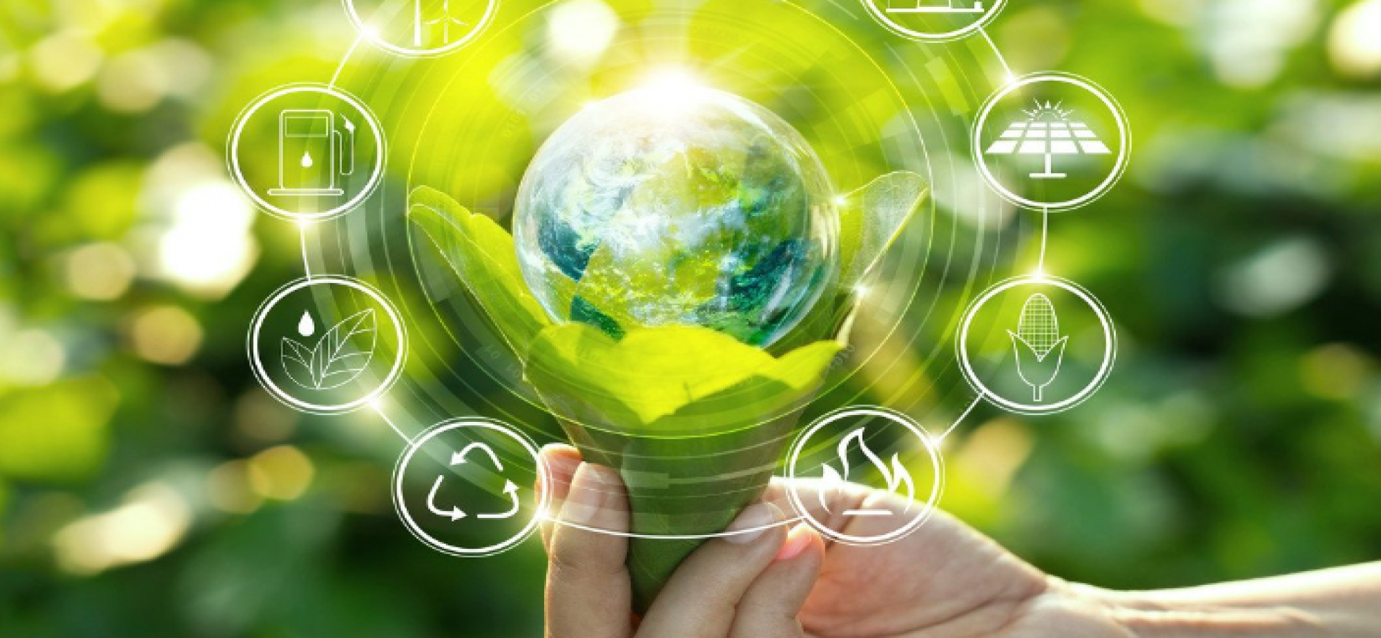 绿色低碳，是生活更是未来