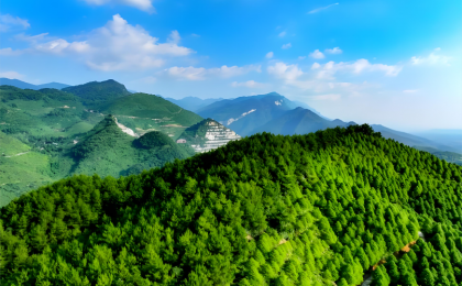 千年古井水，终成滋养乡亲的“致富水”   