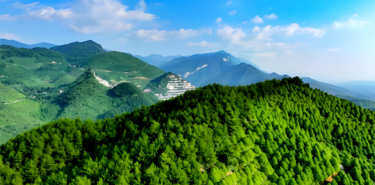 千年古井水，终成滋养乡亲的“致富水”   