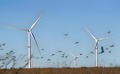 各地能源保供能力提升 绿色转型稳步推进   