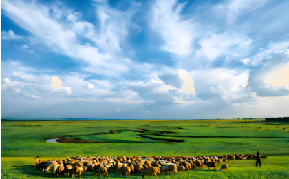 绿色，美丽中国最鲜明的底色  