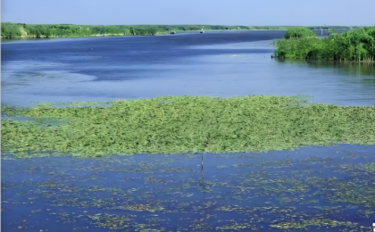 自然资源部：破解“向海问药”转换难 让科研成果“上岸”