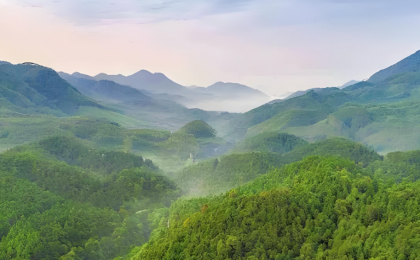 为今天添绿，为明天增势