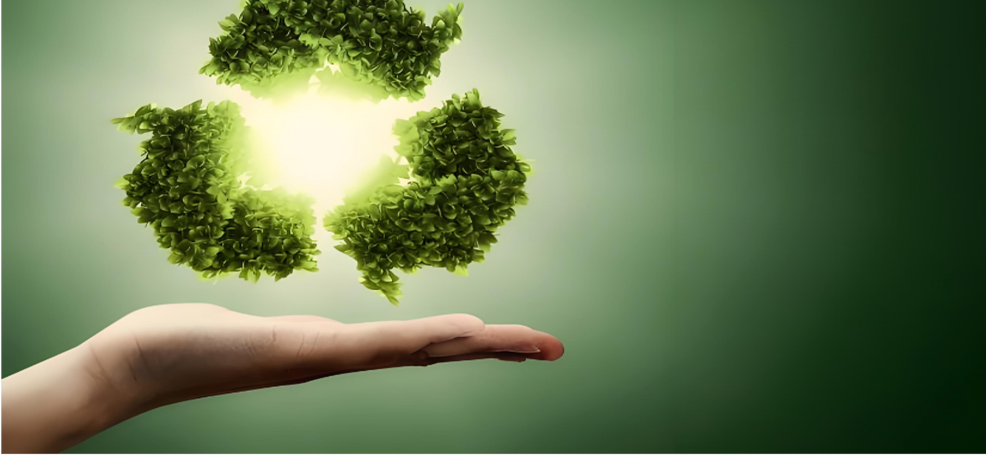 从“双碳”目标到生态环境法典