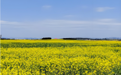 政府采购推动公路向“绿”发展    