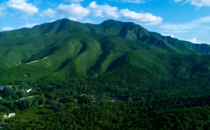 以“钉钉子”和“绣花”的精神创造实绩    