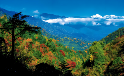 从国家公园法到生态环境法典，高质量推进国家公园建设有了法治根基  