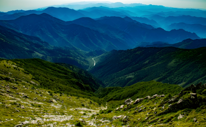 蓝皮书显示秦岭地区生态质量有所改善 