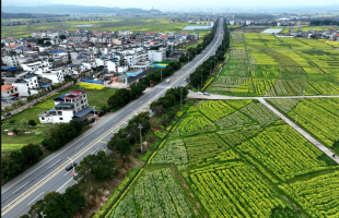 守本分，怀“痴情”    