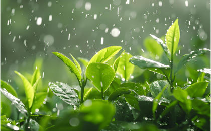 旅游市场春意盎然    