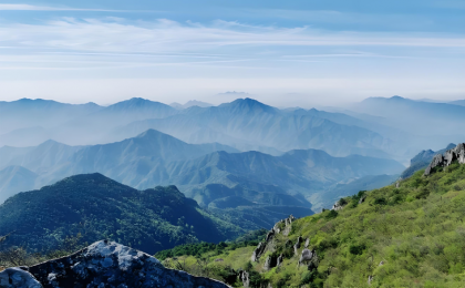 “我们守着这座山，这片绿就丢不了”    