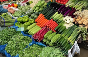 瞧瞧菜篮子里的新变化    