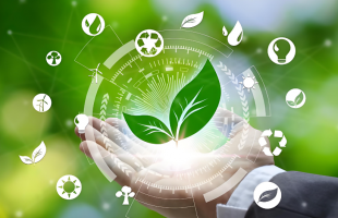 欧盟碳边境调节机制（CBAM）实施高筑绿色贸易壁垒，我国如何应对？ 