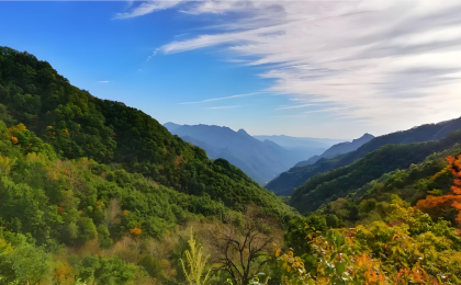 违法组织穿越秦岭，判了！   
