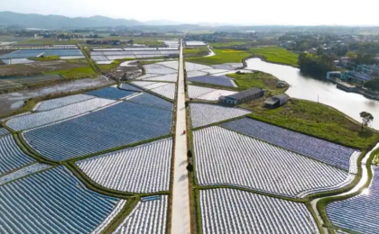 苦熬与苦干（人民论坛）    