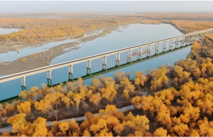 光伏板下“锁”住7750亩流沙