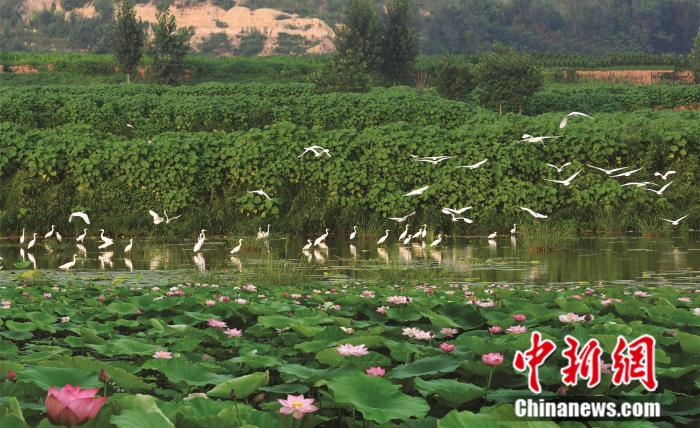 20191126165457424591011.jpg 20191126165457424591011.jpg