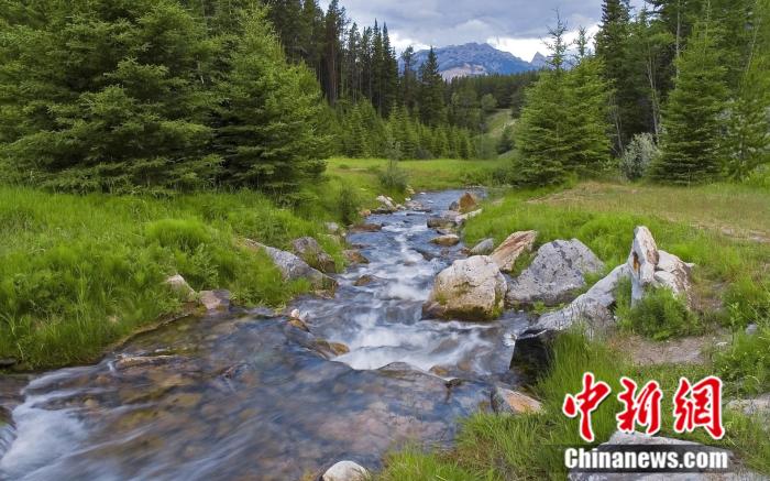 20191126165541864296617.jpg 20191126165541864296617.jpg