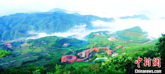 20191128171326731650464.jpg 20191128171326731650464.jpg