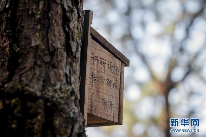 20191225155645756501198_1.jpg 20191225155645756501198_1.jpg