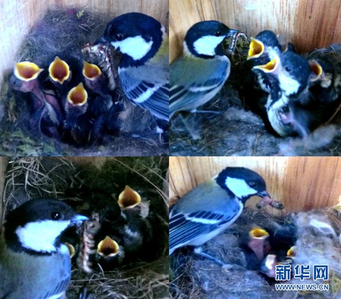 20191225155654133297772_1.jpg 20191225155654133297772_1.jpg