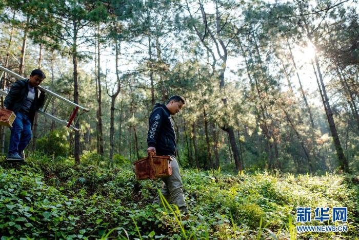 20191225155712607220365_1.jpg 20191225155712607220365_1.jpg