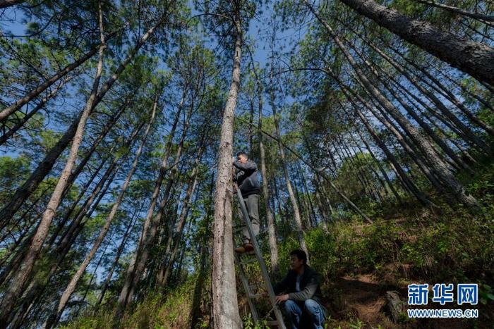 20191225155729325457832_1.jpg 20191225155729325457832_1.jpg