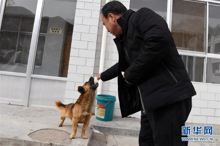 20200219205601518778896_1.jpg 20200219205601518778896_1.jpg