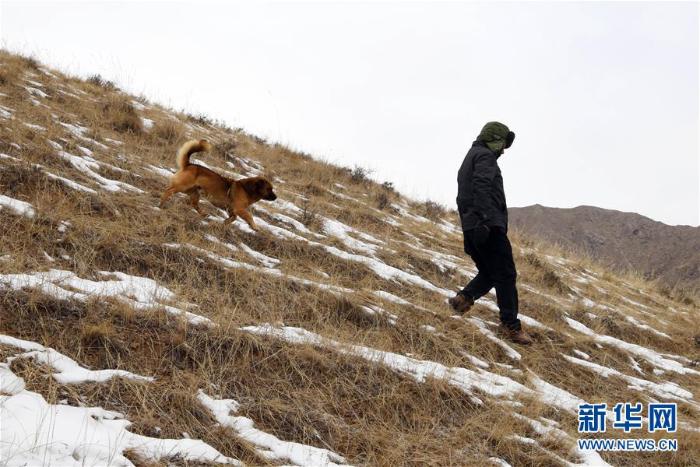 20200219205655835420458_1.jpg 20200219205655835420458_1.jpg