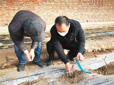 20200305004654895564637.jpg 20200305004654895564637.jpg