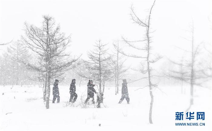 20200308233612014649603_1.jpg 20200308233612014649603_1.jpg