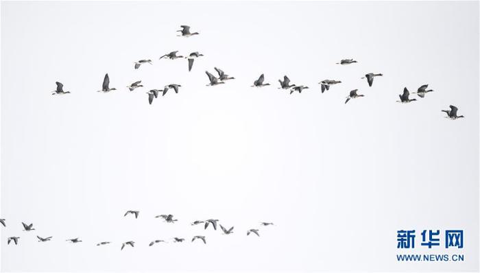 20200308233624061796606_1.jpg 20200308233624061796606_1.jpg