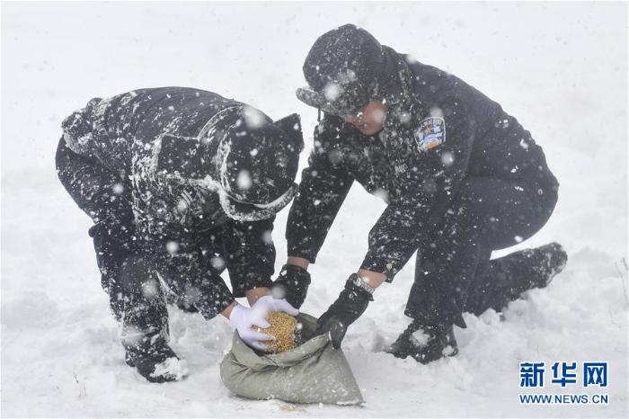 20200308233738067690821_1.jpg 20200308233738067690821_1.jpg