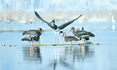 20200311232340609231347.jpg 20200311232340609231347.jpg