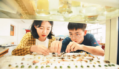 20200311233033876667004.jpg 20200311233033876667004.jpg