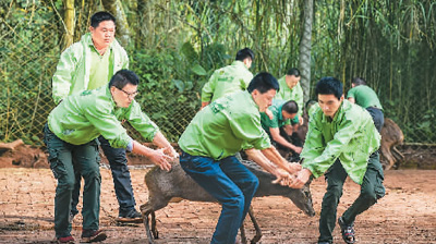 20200311233159976564837.jpg 20200311233159976564837.jpg