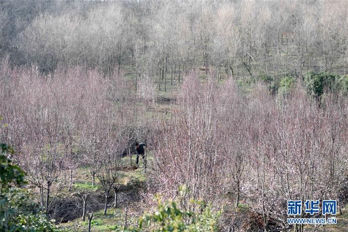 20200324222112721208193_1.jpg 20200324222112721208193_1.jpg