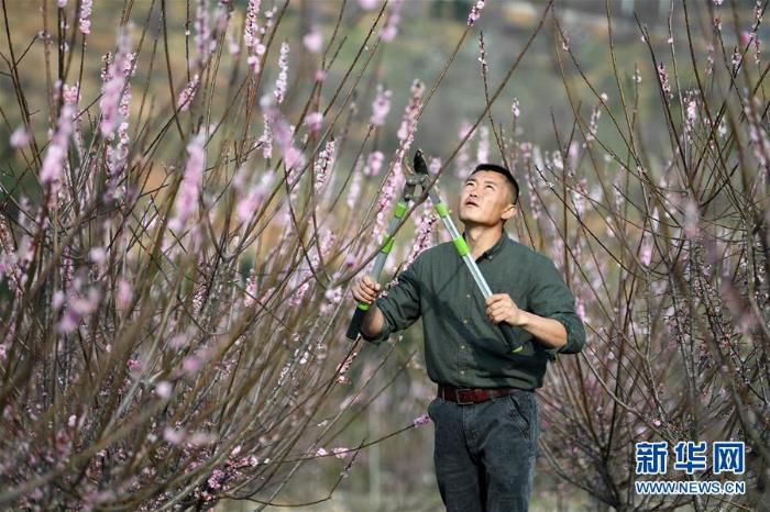 20200324222159975718506_1.jpg 20200324222159975718506_1.jpg