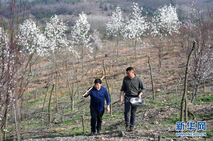 20200324222226102959155_1.jpg 20200324222226102959155_1.jpg