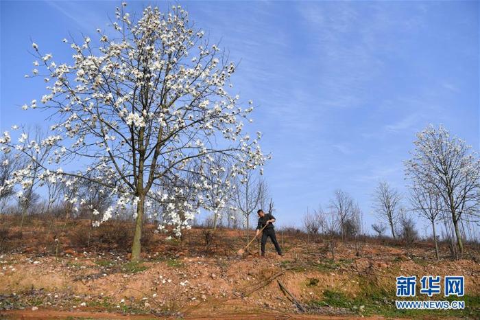 20200324222248260577748_1.jpg 20200324222248260577748_1.jpg