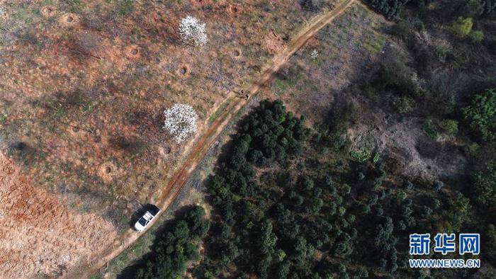 20200324222257620914982_1.jpg 20200324222257620914982_1.jpg