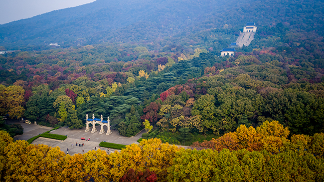 微信图片_20200325164108.jpg 微信图片_20200325164108.jpg