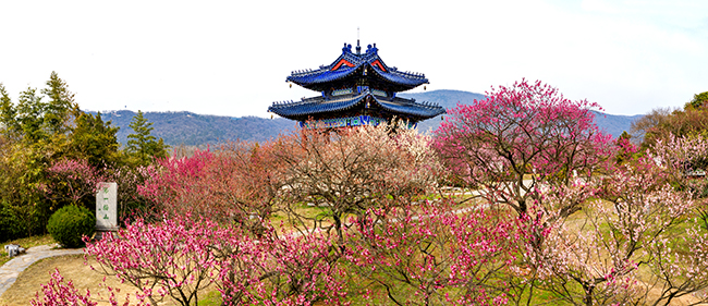 微信图片_20200325164138.jpg 微信图片_20200325164138.jpg