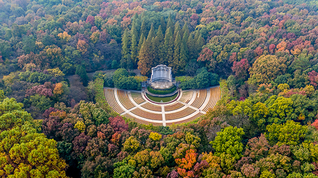 微信图片_20200325164243.jpg 微信图片_20200325164243.jpg