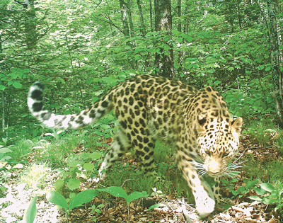 20200402201451684621781.jpg 20200402201451684621781.jpg