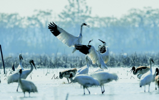 微信图片_20200424224742.jpg 微信图片_20200424224742.jpg