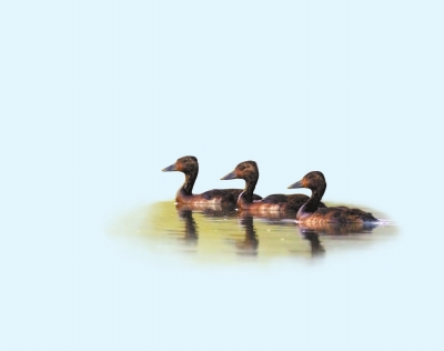 20200427012324024300050.jpg 20200427012324024300050.jpg