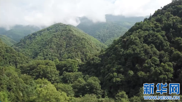 20200618181442638713620_1.png 20200618181442638713620_1.png